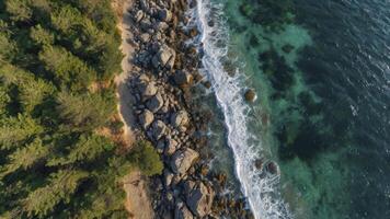 Aerial View of Rocky Coastline with Lush Forest and Clear Ocean Water photo