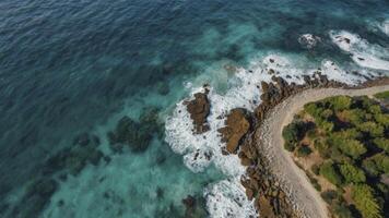 Aerial View of Ocean Waves Crashing on Rocky Shoreline with Lush Vegetation photo