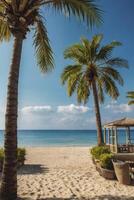 Tropical Beach with Palm Trees and Hut on a Sunny Day photo