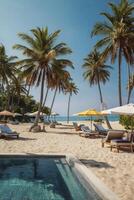 Relaxing Tropical Beach Resort with Palm Trees and Swimming Pool View photo