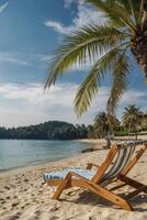 Relaxing Beach Scene with Palm Tree and Lounge Chair on Sand photo