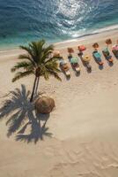 Aerial View of Tropical Beach with Palm Tree and Lounge Chairs photo