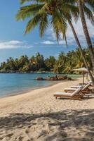 Relaxing Beach Scene with Palm Trees, Loungers and Blue Ocean photo