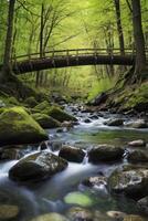 Wooden Bridge Over Flowing Creek in Lush Green Forest Landscape photo
