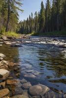 Flowing River Through Green Forest Landscape with Rocks and Clear Water photo