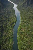 Aerial View of Winding River Surrounded by Dense Tropical Green Forest photo