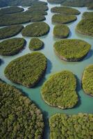 Aerial View of Green Islands in Turquoise Water From Above photo