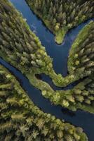 Aerial View of Winding River Through Dense Forest Landscape Scenery photo