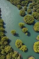 Aerial View of River and Green Forest Landscape with Small Islands photo