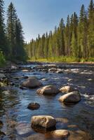 Flowing River Through Forest with Rocks and Trees on Sunny Day photo