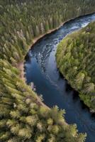Aerial View of Forest and River Landscape in Natural Environment photo