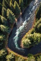 Aerial View of River Flowing Through Forest with Rocks and Trees photo
