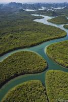 Aerial View of Green Islands and River in Ha Long Bay Vietnam photo