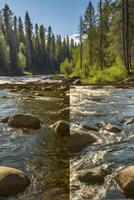 Two images of a river with rocks and trees photo