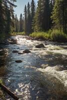 River Flowing Through Forest with Rocks and Sunlight Reflection on Water photo