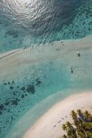 Aerial View of a Tropical Beach with Turquoise Ocean and Palm Trees photo