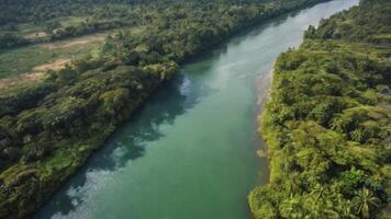 Aerial View of Winding River Through Lush Green Tropical Forest photo