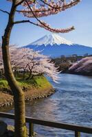 Viewing Mount Fuji with Cherry Blossoms Along River in Spring photo