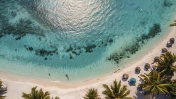 Aerial View of Tropical Beach with Turquoise Water and Palm Trees photo