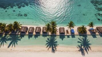 Aerial View of Tropical Beach Resort with Palm Trees and Bungalows photo