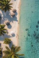 An aerial view of a tropical beach with palm trees photo