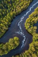 Aerial View of River Flowing Through Forest Scenic Landscape Image photo