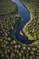 Aerial View of Winding River Through Forest Landscape in Remote Location photo
