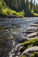 Scenic River Flowing Through a Forest with Rocks and Lush Greenery photo