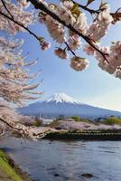Mount Fuji with Cherry Blossoms in Spring Overlooking Tranquil River photo