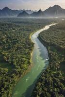 River Flowing Through Lush Green Jungle with Distant Mountain Views photo