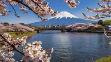 Mount Fuji View in Spring with Cherry Blossoms Along River photo