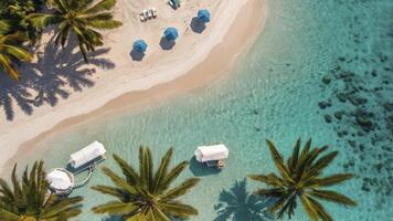 An aerial view of a beach with palm trees photo