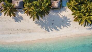 Aerial View of Tropical Beach with Palm Trees and Clear Water photo