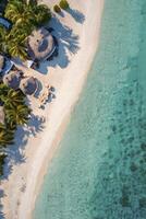 Aerial View of Tropical Beach with Clear Water and Palm Trees photo