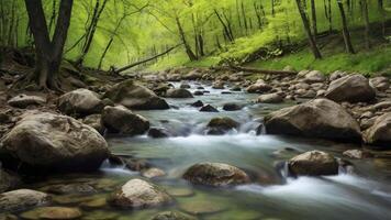 Flowing River Through Lush Green Forest Landscape with Rocks and Trees photo