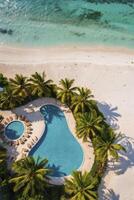 Aerial View of Tropical Beach with Swimming Pool and Palm Trees photo