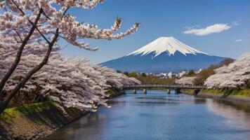 Mount Fuji Scenery with Cherry Blossoms and River in Japan photo