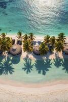 Aerial View of Tropical Beach Resort with Palm Trees and Turquoise Water photo