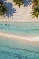 Aerial view of a tropical beach with palm trees photo