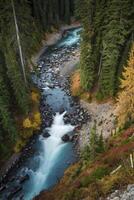 Flowing River Through Evergreen Forest with Autumn Color From Above photo