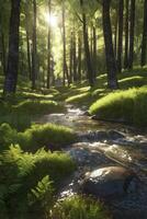 Flowing Stream in Forest with Sun Shining Through the Trees photo
