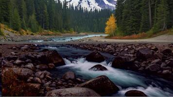River Flowing Through Rocky Forest Landscape with Mountain View photo
