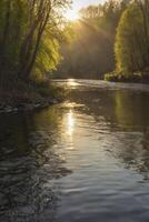 River Flowing Through Forest with Sun Shining Through the Trees photo