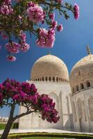 Mosque Domes and Blossoming Tree Against Clear Blue Sky in Oman photo