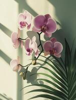 Blooming Orchid Flowers with Palm Leaf and Window Shadow Illustration photo