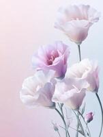 Elegant Lisianthus Flowers with Soft Light on Pale Pink Background photo