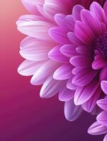 Close-up of Pink Flower Petals with Soft Gradient Background Texture photo
