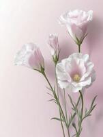 Lisianthus Flower Arrangement on Pink Background Creates Soft Delicate Floral Composition photo