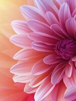 Captivating Pink Flower Close-up with Soft Light and Delicate Petals photo