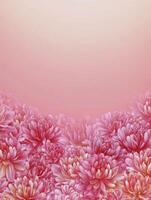 Pink Chrysanthemum Border on Pink Gradient Background Creates Delicate Floral Design photo